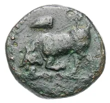 coin obv