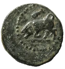 coin obv