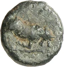coin obv