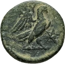 coin rev