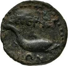 coin rev