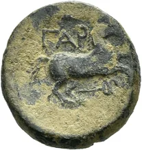 coin rev