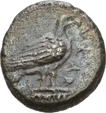 coin obv