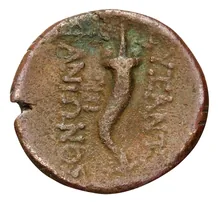 coin rev