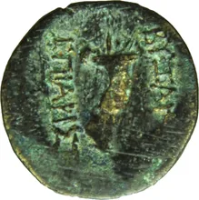 coin rev