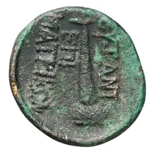 coin rev