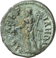 coin rev
