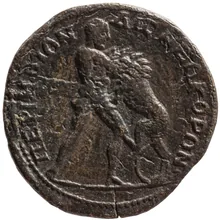 coin rev