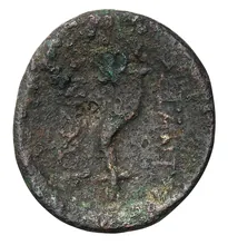 coin rev