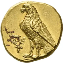 coin rev