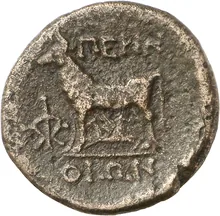 coin rev