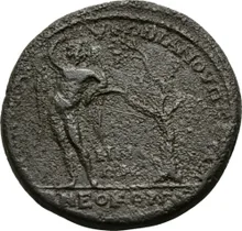 coin rev