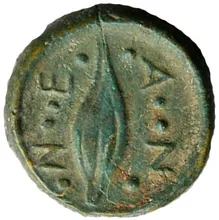 coin rev