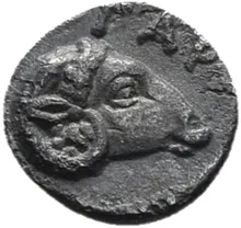 coin rev
