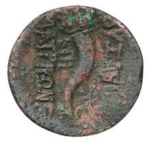 coin rev