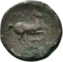 coin rev