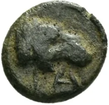 coin rev