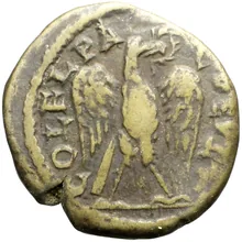 coin rev
