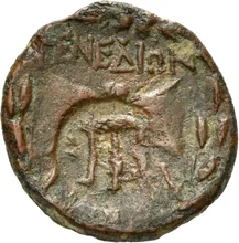 coin rev