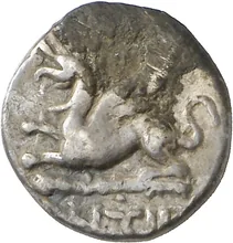 coin obv