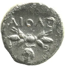 coin rev