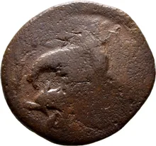 coin rev