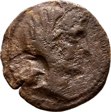 coin obv