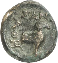 coin rev