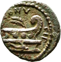 coin rev
