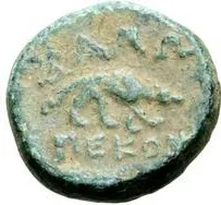 coin rev