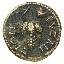 coin rev
