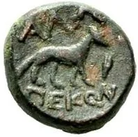 coin rev