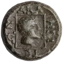 coin rev