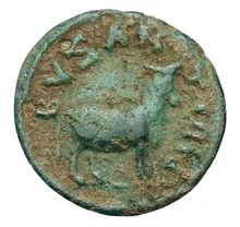 coin rev