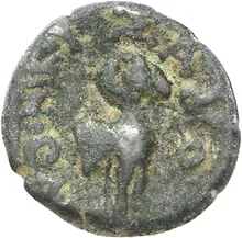coin rev
