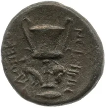 coin rev