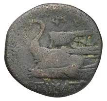 coin rev