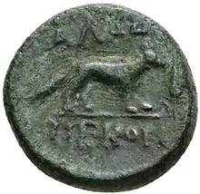 coin rev
