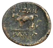 coin rev