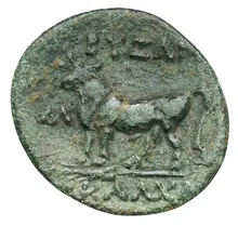 coin rev