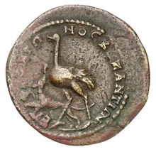 coin rev