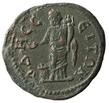 coin rev