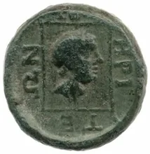 coin rev
