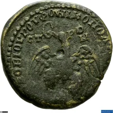 coin rev