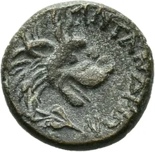 coin rev