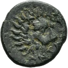 coin rev