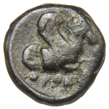 coin rev