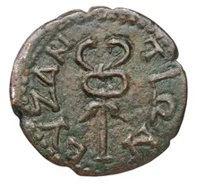 coin rev