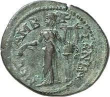 coin rev