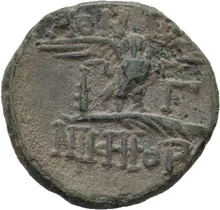 coin rev